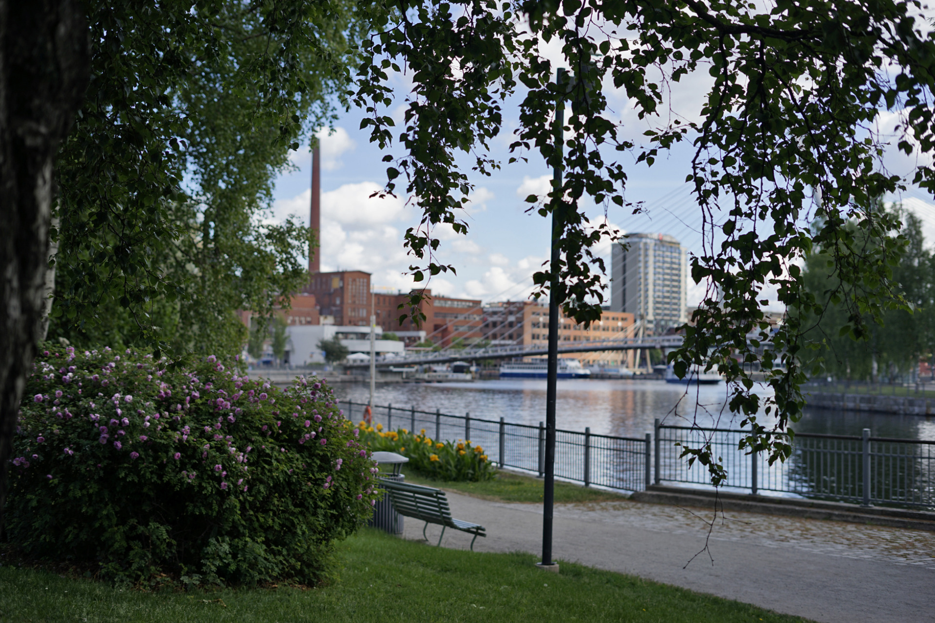 Vihreitä lehtiä ja kukkapensaita joen rannalla, taustalla kaupunkirakennuksia ja silta pilvisellä säällä.