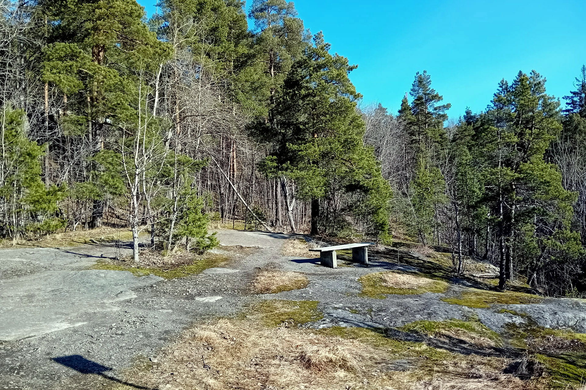 Kivinen polku ja penkki metsäaukealla, ympärillä vihreitä puita ja sininen taivas.