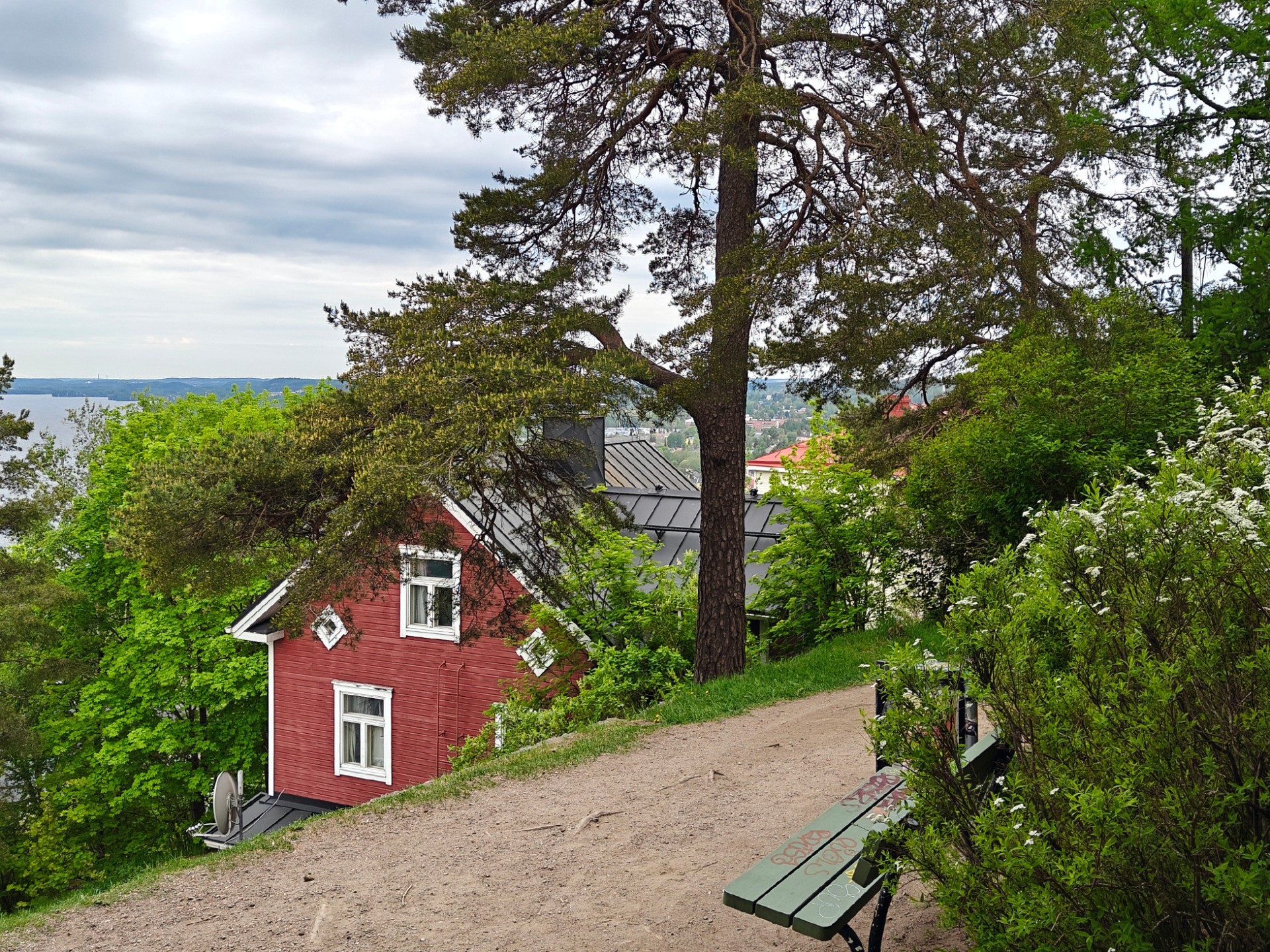 Punainen hirsitalo, suuri puu ja vihreää kasvillisuutta, taustalla järvimaisema ja harmaa pilvitaivas.